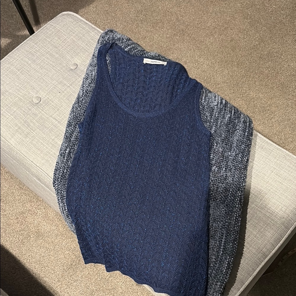 Zara Knit Navy Sweater